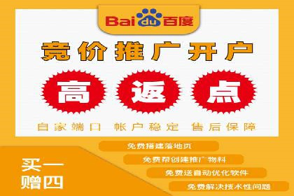 百度广告投放策略与效果评估案例
